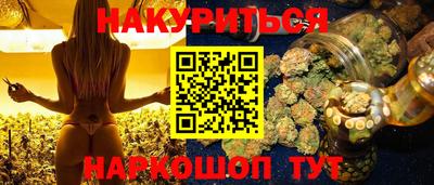 шишки Кингисепп