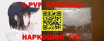 шишки Кингисепп