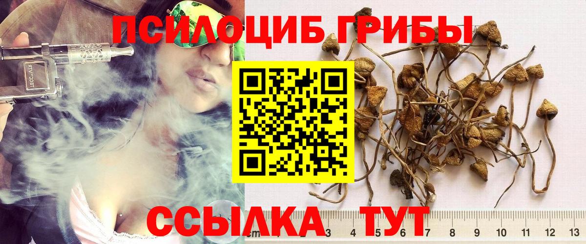 Псилоцибиновые грибы мухоморы Кингисепп